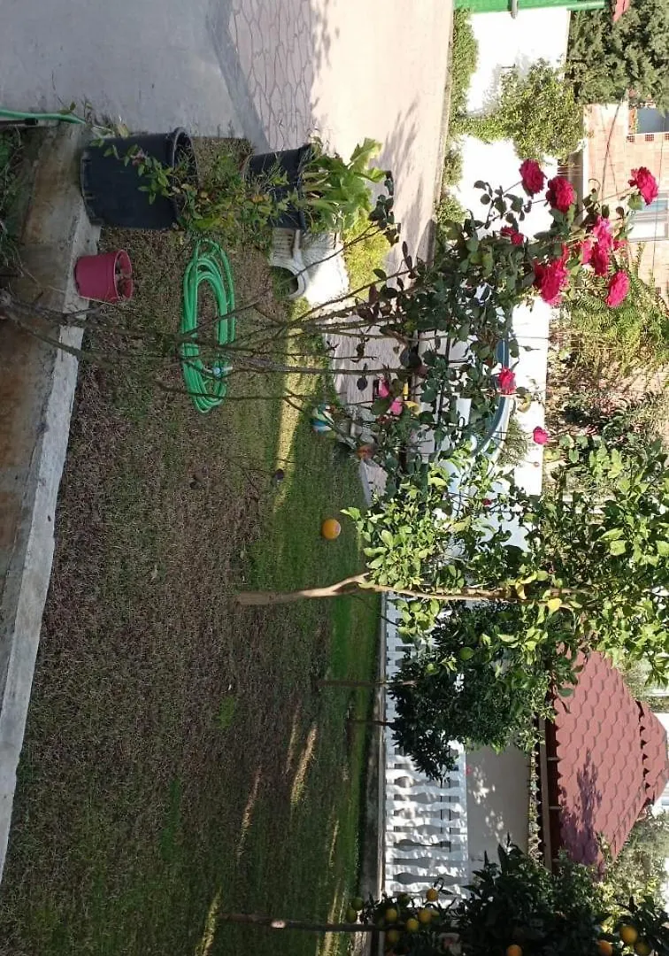 Fatbardha Apartment Tirana 0*,